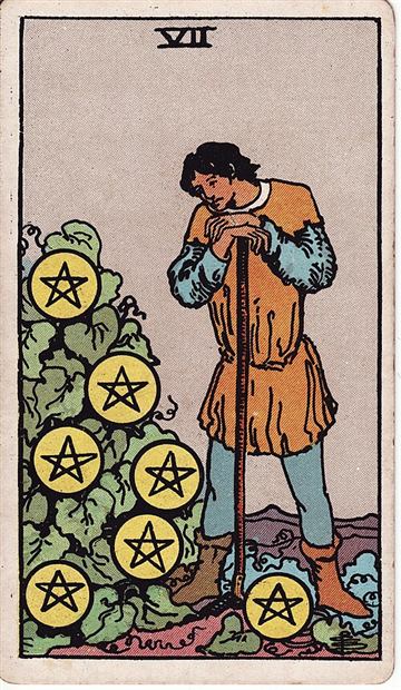 펜타클 7(Seven of Pentacles) 타로카드